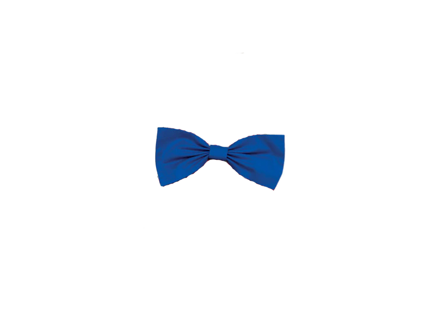 Bow Tie - Large